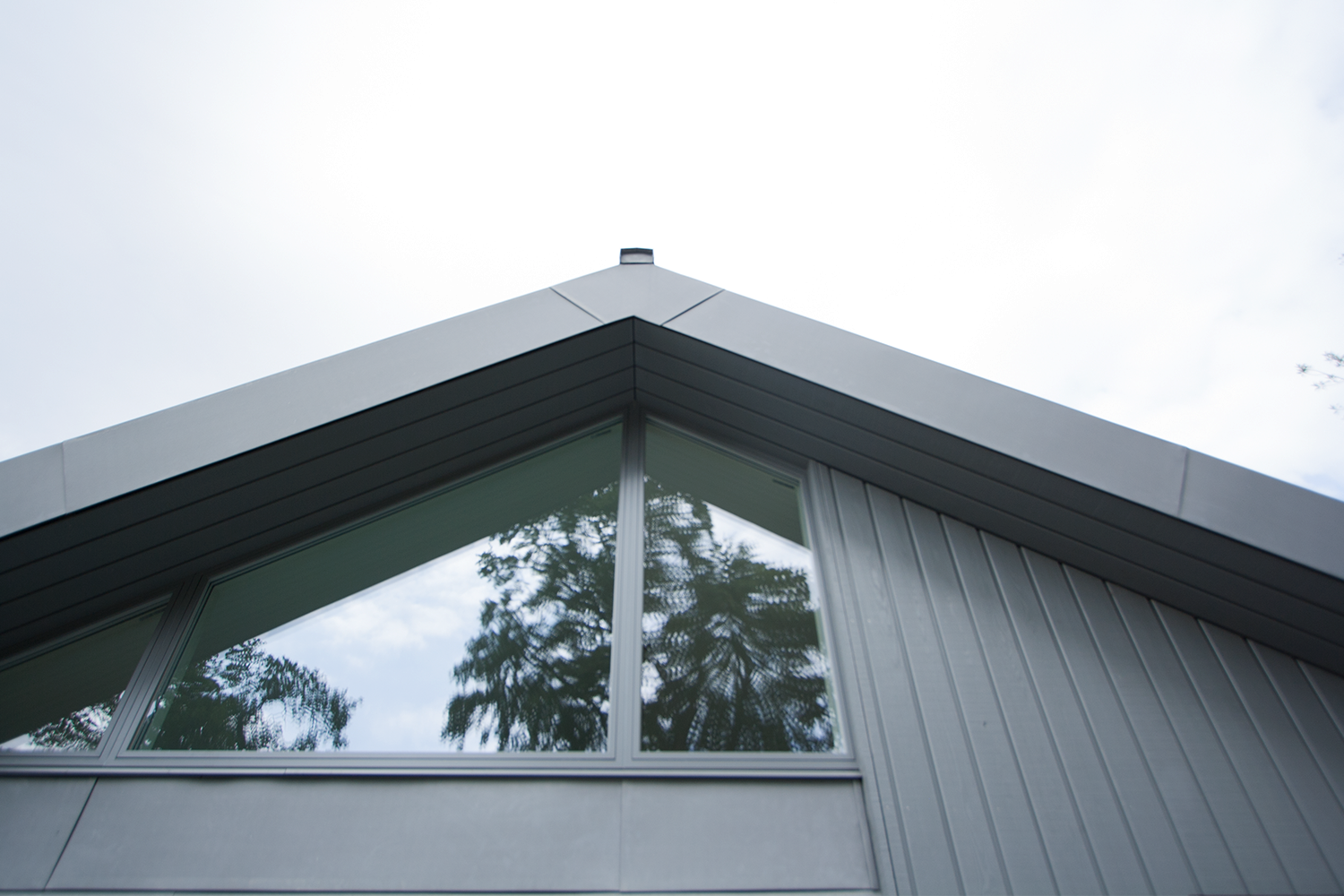 New Build Eastwood by Fiddes Architects