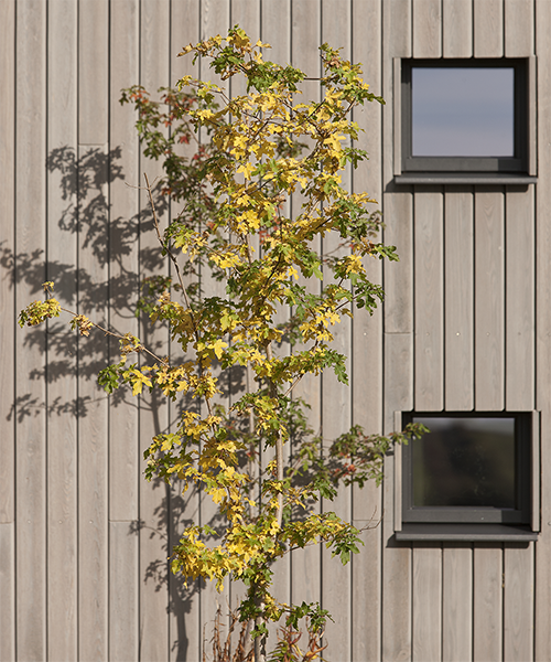 New Build Tummel by Fiddes Architects